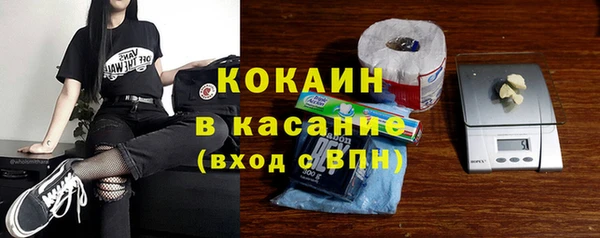 индика Алексеевка