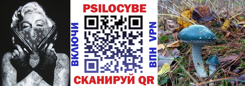Псилоцибиновые грибы Psilocybine cubensis  Спасск-Рязанский 